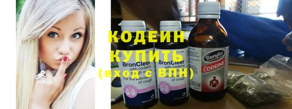 индика Мегион