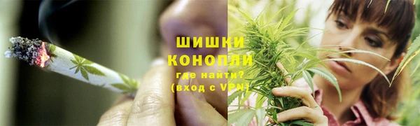 каннабис Богданович