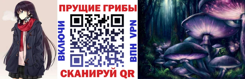 закладка  Верхний Тагил  кракен как войти  Псилоцибиновые грибы Psilocybine cubensis 
